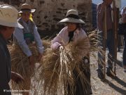  La fiesta de A Malla en Mones, un trabajo rural 